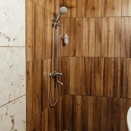 брик * 사파레바바냐