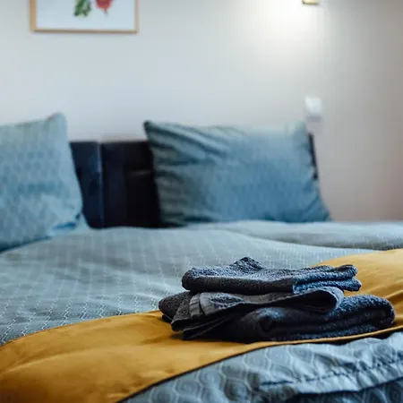 брик Saparewa Banja