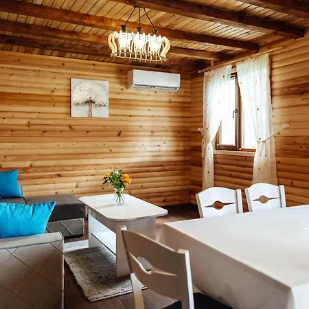 брик * 사파레바바냐