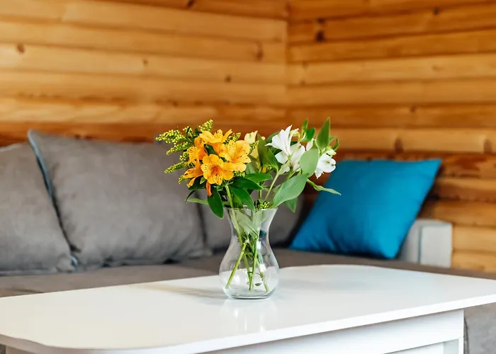 брик * Sapareva Banya